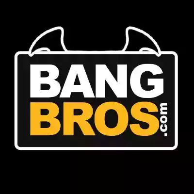 Bang Bros Network